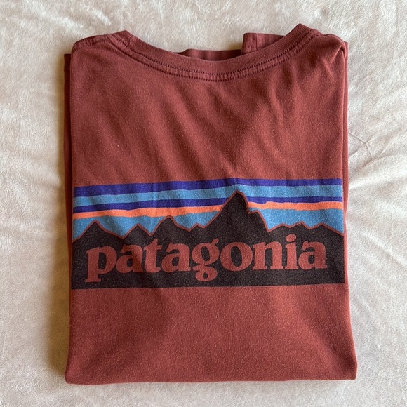 Patagonia Other - Patagonia Rust Logo Tee Shirt Size L